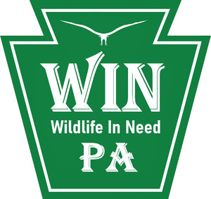 Wildlife in Need Emergency Response of Pennsylvania