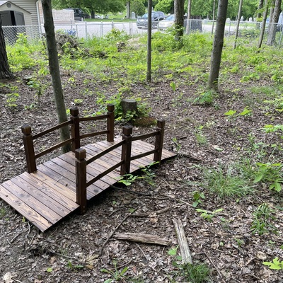 Our nature area bridge