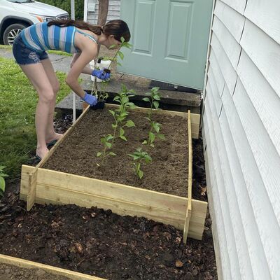 As with a garden in parenting the beginning years are a time to plant and water!