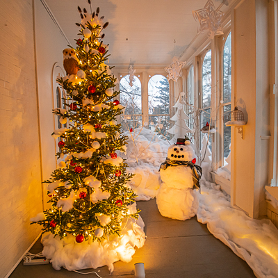 Solarium decorated for Trees of Christmas 2022