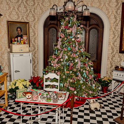 The Back Parlor decorated for Trees of Christmas 2022